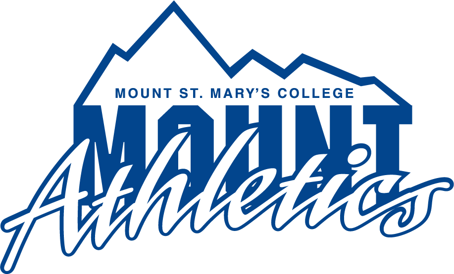 Mount St. Marys Mountaineers 1990-1996 Primary Logo t shirts iron on transfers